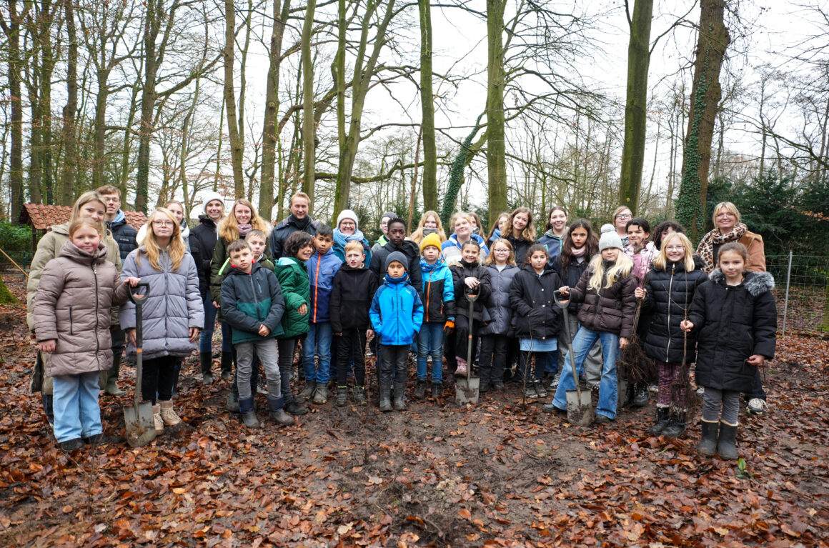 Grafschaft Run – Aufforstung im Bentheimer Wald Grafschaft Run – Aufforstung im Bentheimer Wald